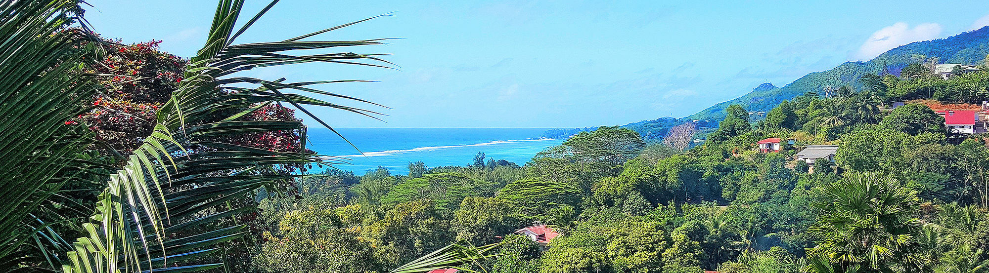 Anse aux Pins Maison Oasis Reef Estate מראה חיצוני תמונה